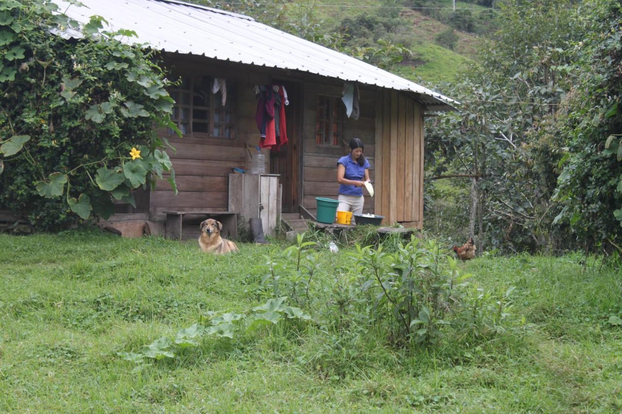 Patricia And Ned'S Cloud Forest Farm Cotacachi Exterior photo